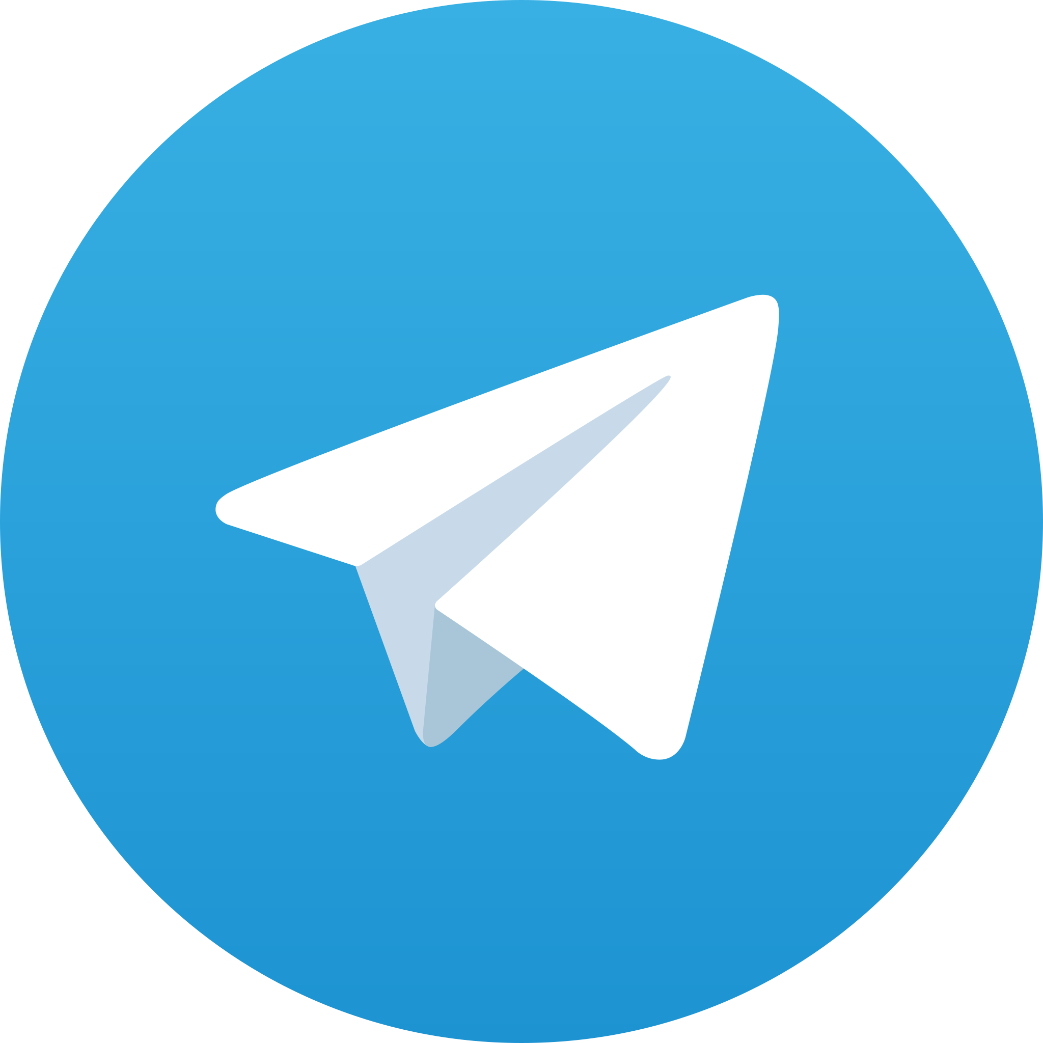 Rocket Coin on Telegram